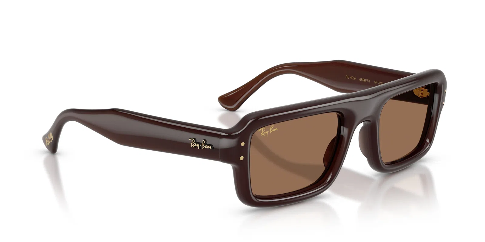 Ray-Ban 4954 Sunglasses - view 4